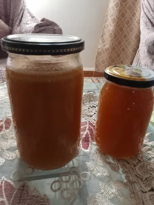 عسل طبيعي. وادي العثمانية