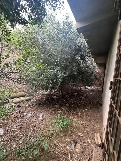 Vente Villa Alger Bordj el kiffan