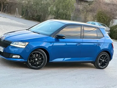 Skoda Fabia 2021 Monte Carlo