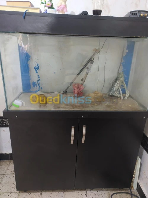 Aquarium avec table 