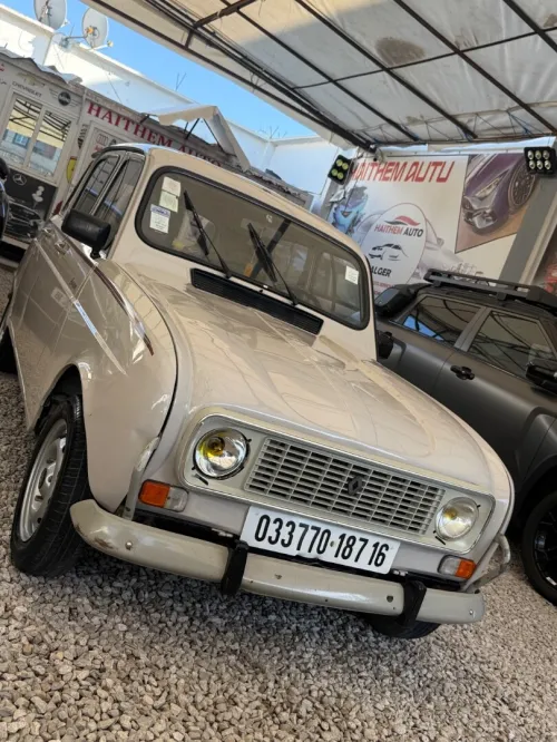 Renault 4 1987 Sabale