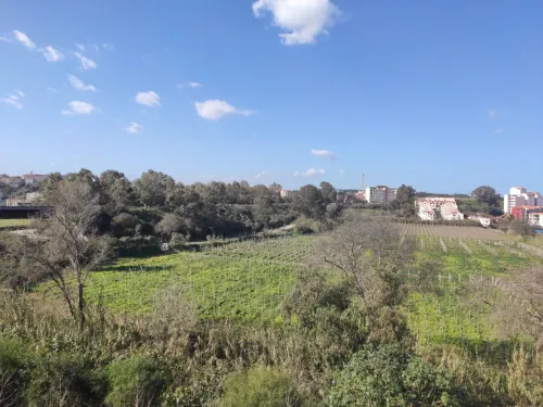 Vente Appartement F4 Boumerdes Boumerdes