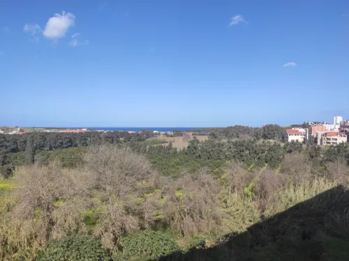 Vente Appartement F4 Boumerdes Boumerdes