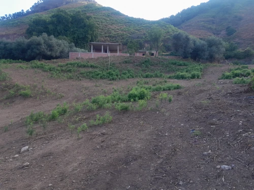Cherche location Terrain Jijel Texenna