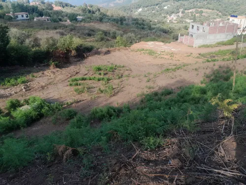 Cherche location Terrain Jijel Texenna