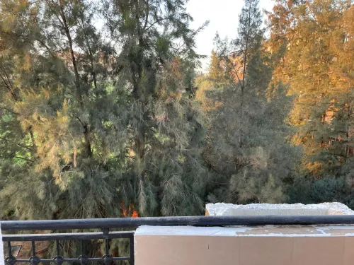 Vente Appartement F3 Alger Birkhadem