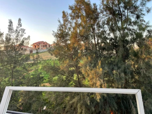 Vente Appartement F3 Alger Birkhadem