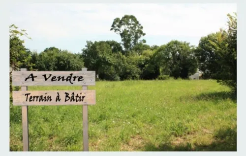 Vente Terrain Alger Kouba