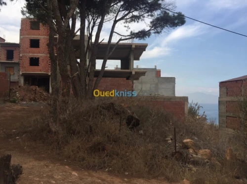 Vente Terrain Tipaza Ain tagourait