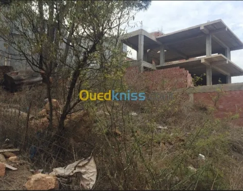 Vente Terrain Tipaza Ain tagourait