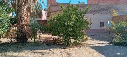 Vente Terrain Agricole Ghardaïa Dhayet bendhahoua