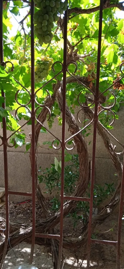 Vente Villa Bouira El adjiba