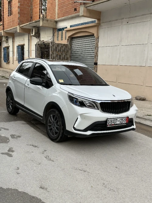 Livan X3 Pro  2025 Automatique (Avec toi ouvrant )