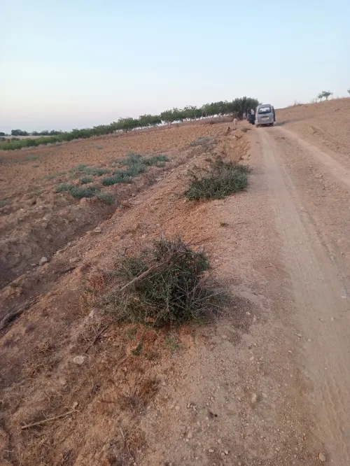 Vente Terrain Agricole Tipaza Meurad