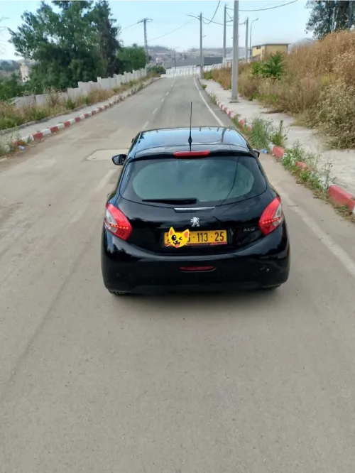 Peugeot 208 2013 Fennec
