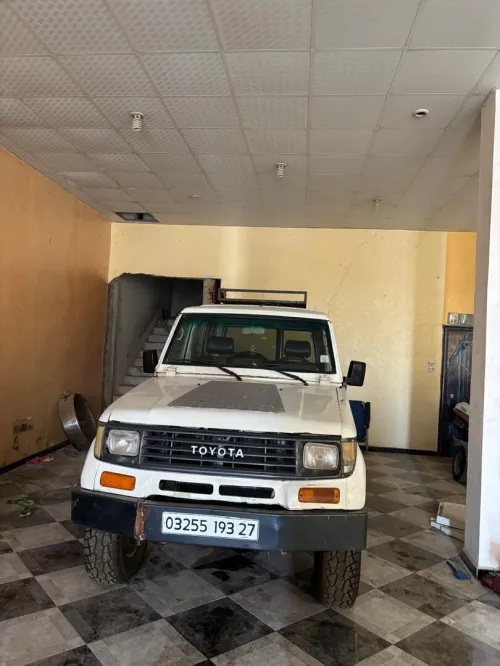 Toyota Land Cruiser 1993 Court