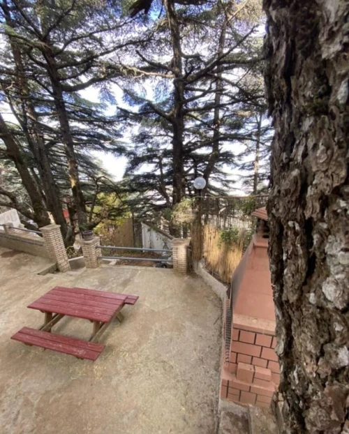 Location vacances Bungalow F1 Blida Chrea