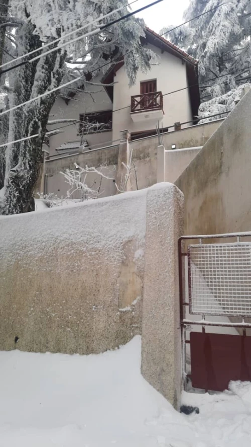 Location vacances Bungalow F1 Blida Chrea
