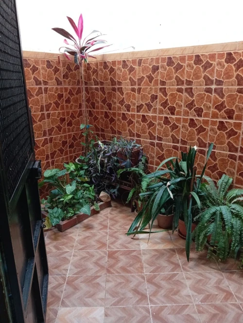 Vente Villa Mostaganem Mostaganem