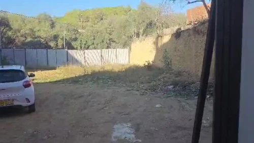 Vente Terrain Tipaza Kolea 3