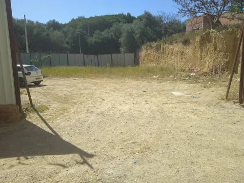 Vente Terrain Tipaza Kolea