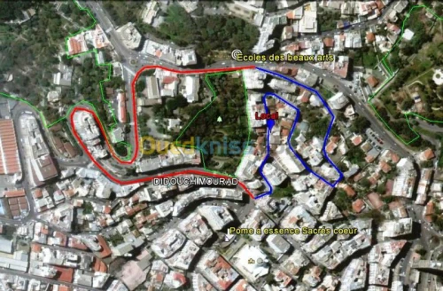 Vente Local Alger Alger centre