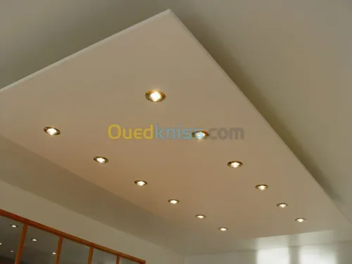 Pose faux plafond démontable et placo 