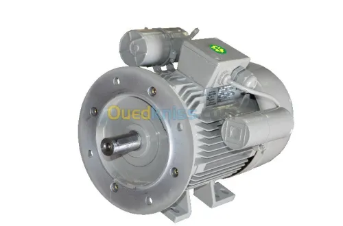 Moteurs électriques ENEL