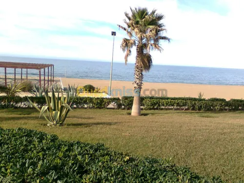 aménagement des espaces verts