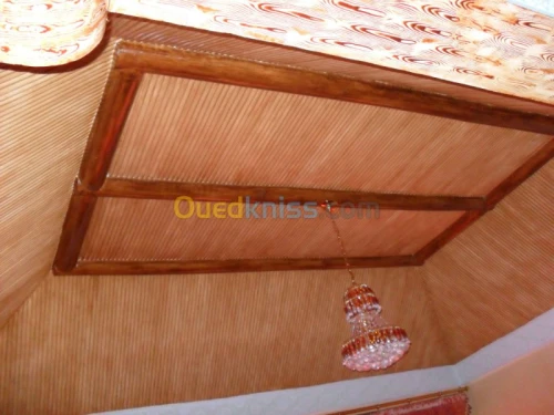 Tous types de décoration d'intérieur