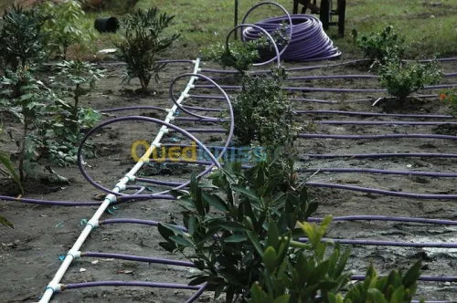 Système D'arrosage Automatique 