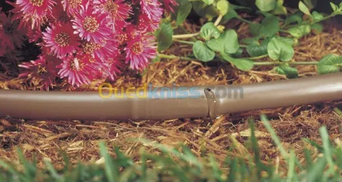 Système D'arrosage Automatique 