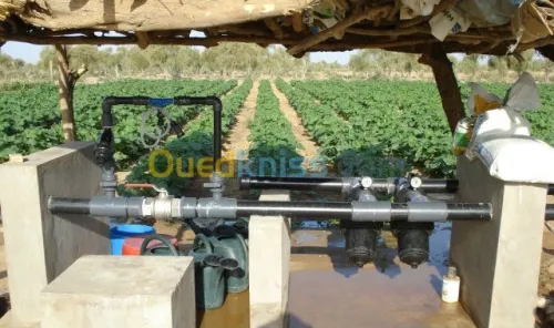 Système D'arrosage Automatique 