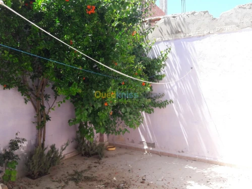 Vente Carcasse Boumerdes Khemis el khechna