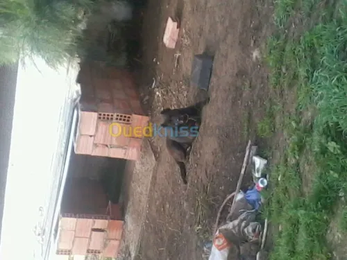 installation/ maintenance  