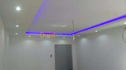 la pose de plaque de platre en ba13 ) 