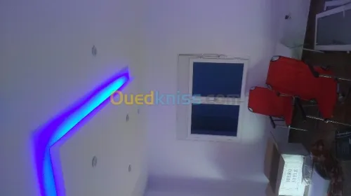 la pose de plaque de platre en ba13 ) 