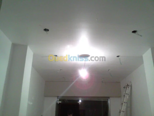 la pose de plaque de platre en ba13 ) 