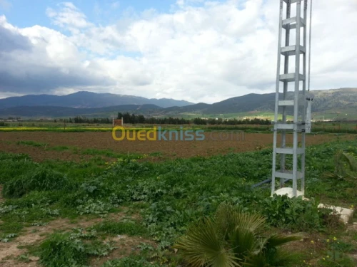 Vente Terrain Ain defla Khemis miliana