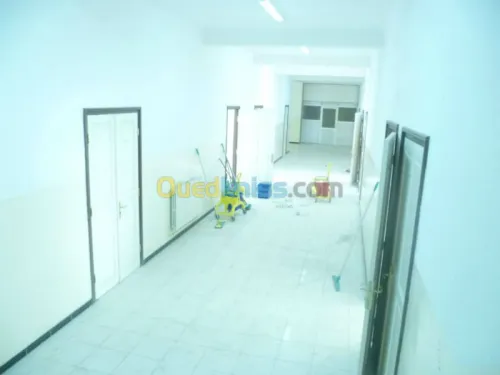 SERVICES DE NETTOYAGE ET DESINFECTION 