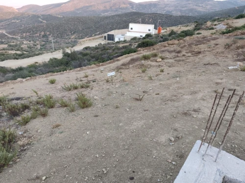 Vente Terrain Tlemcen Ain kebira