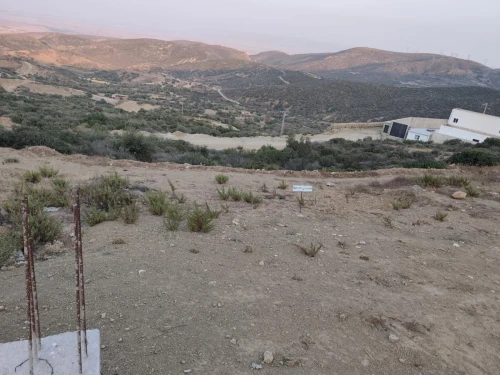 Vente Terrain Tlemcen Ain kebira
