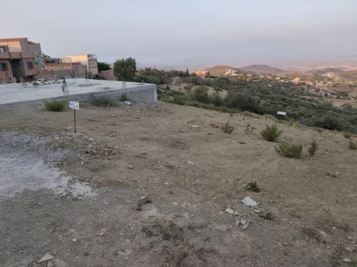 Vente Terrain Tlemcen Ain kebira