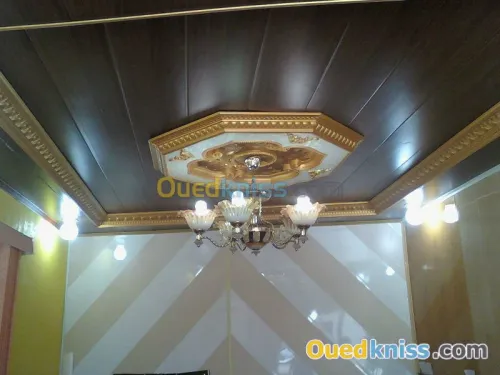 menuiserie aluminium - plafonds pvc 