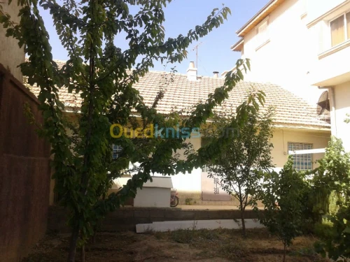 Vente Villa Batna Batna