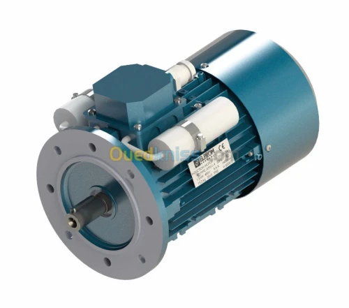 Moteur électrique ELPROM BULGARIA