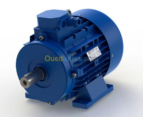 Moteur électrique ELPROM BULGARIA