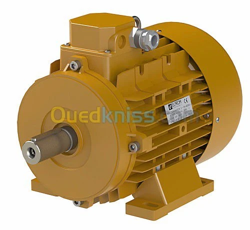 Moteur électrique ELPROM BULGARIA