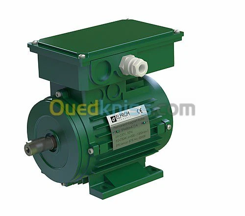 Moteur électrique ELPROM BULGARIA