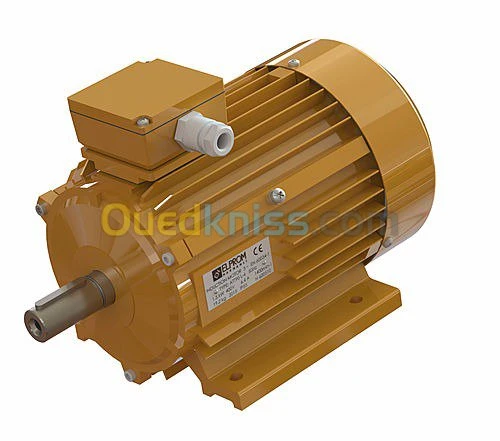 Moteur électrique ELPROM BULGARIA